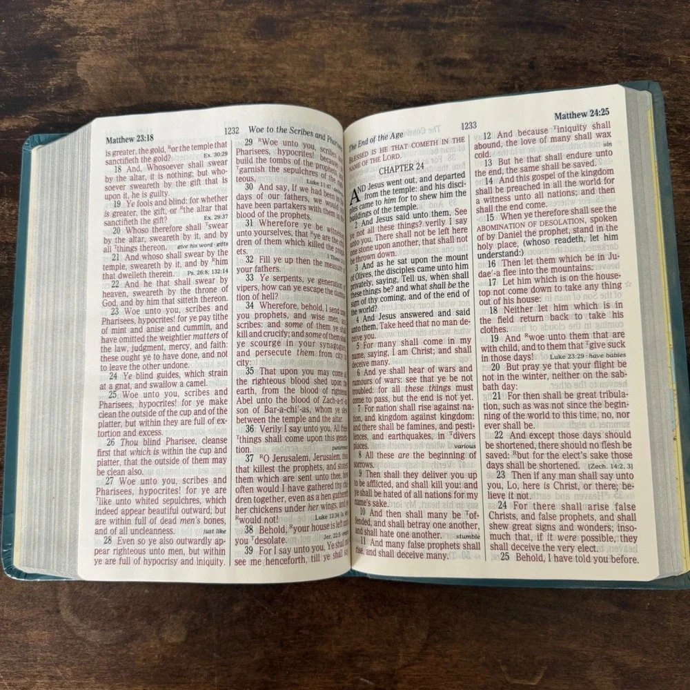 Nelson Regency Blue Holy Bible KJV Giant Print Red Letter 1990 Concordance VTG